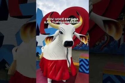 Não tem lugar igual! #festivaldeparintins